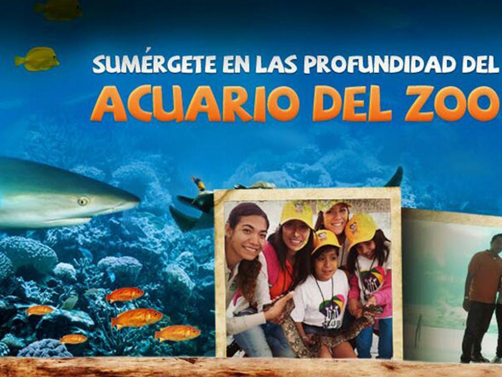 Hostal Casa Anita Guadalajara Esterno foto